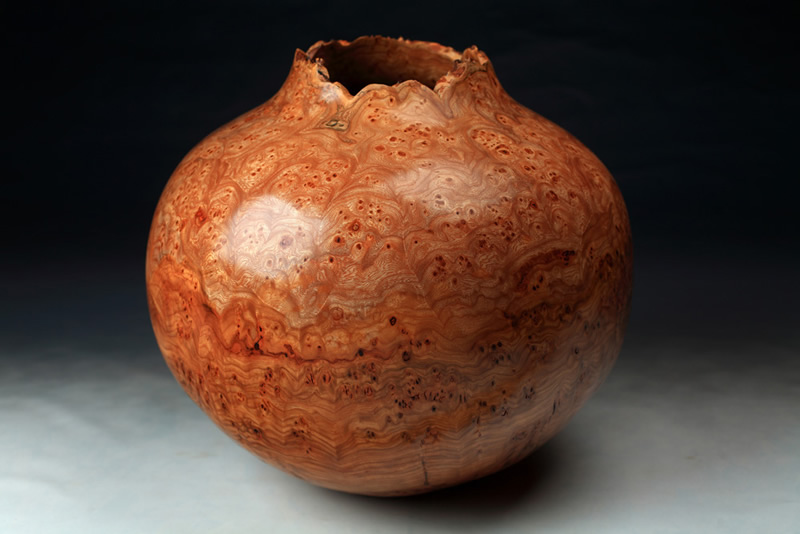 Burr Elm Vase